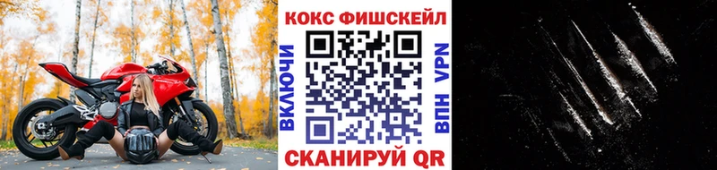 купить закладку  Льгов  это Telegram  Cocaine 97% 